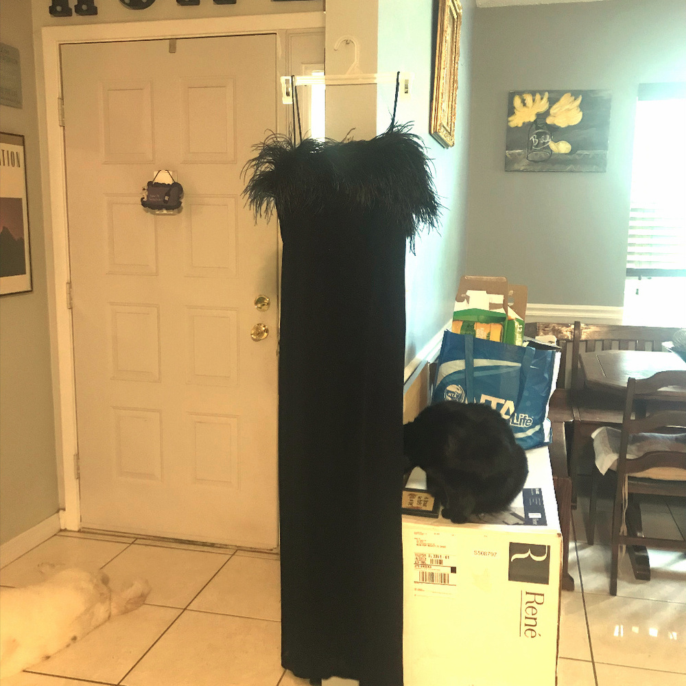 Evening Gown